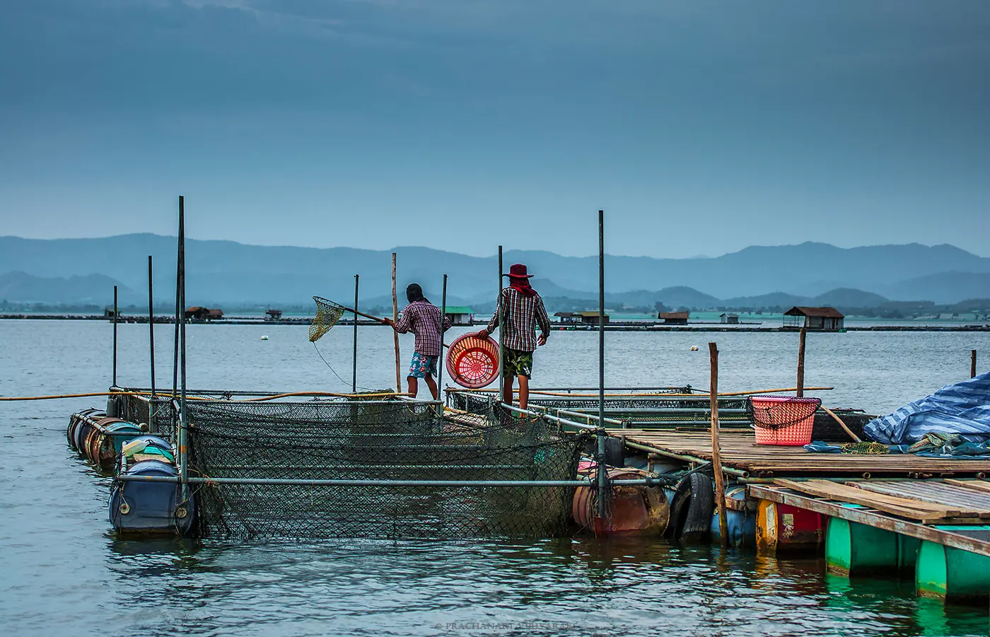 Aquaculture