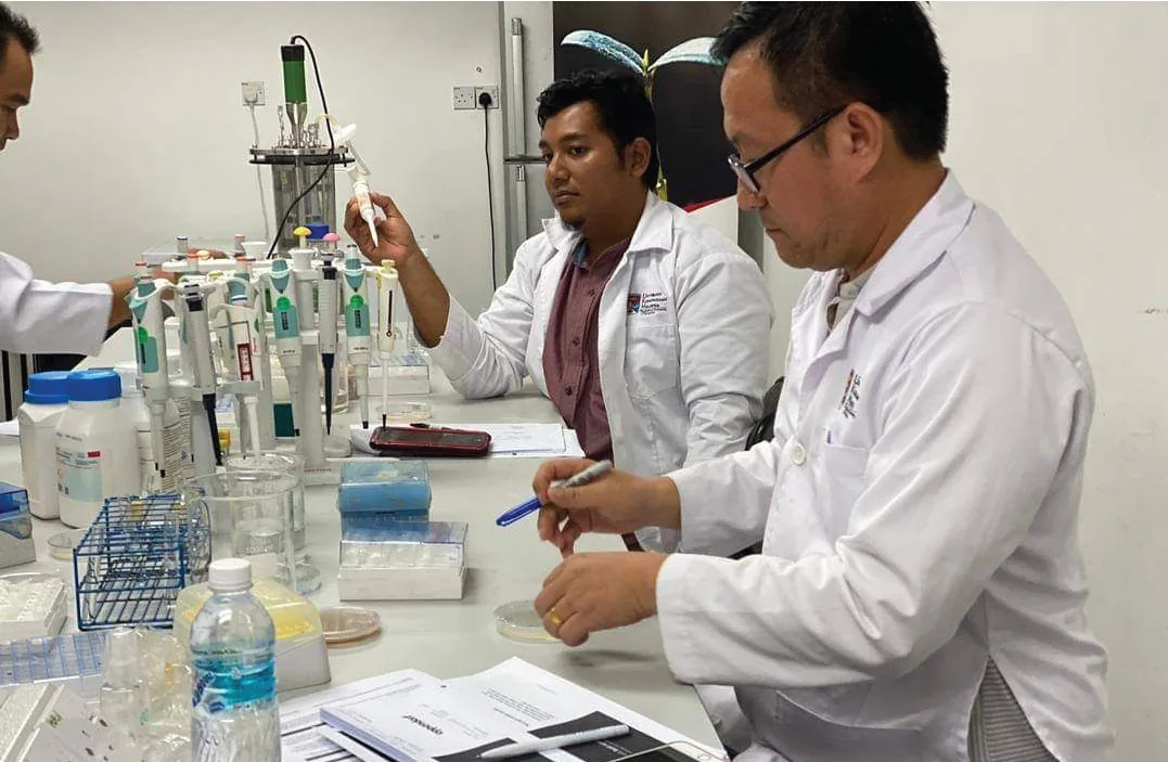 Practical laboratory learning at a Halways workshop