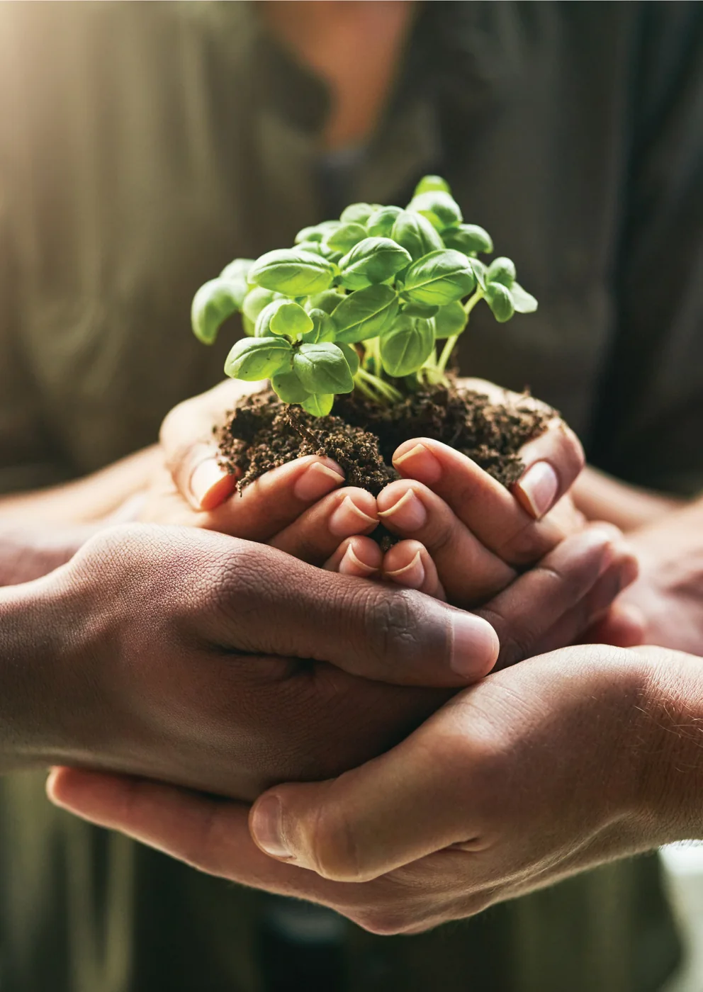 Land & water stewardship