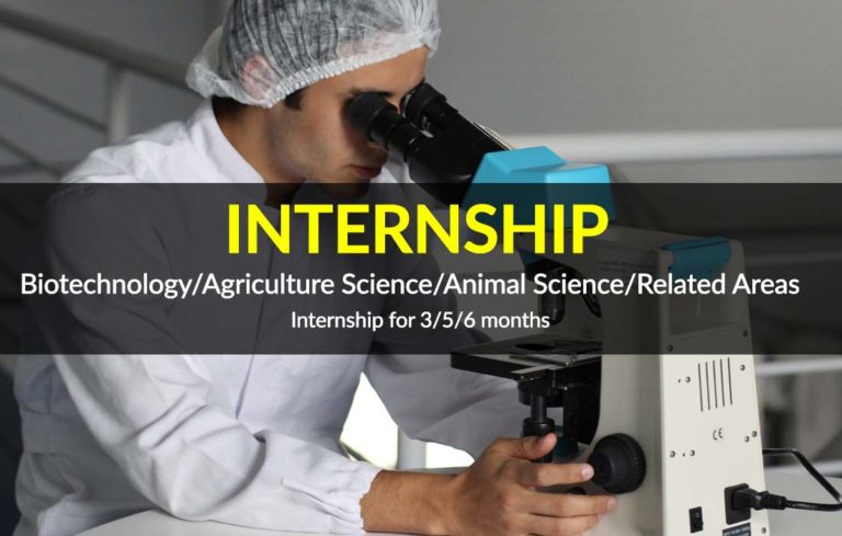 internship-ads-bio